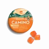 Camino Freshly Squeezed CBG Recover Gummies