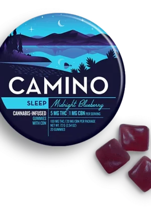Camino Midnight Blueberry Sleep Gummies