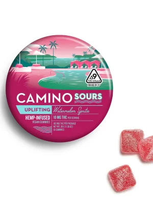 Camino Sours Watermelon Spritz Uplifting